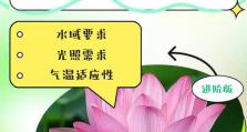 以河花的养殖方法（打造盆景之美）