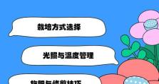 如何安全过冬？——冬季养护铜钱草的关键技巧（水培铜钱草冬天怎样养？）
