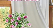 金边瑞香的养护指南（如何让你的金边瑞香健康茁壮成长）