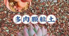 以多原土怎么种多肉（探讨多原土在多肉植物种植中的应用和技巧）