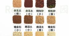 如何配制适合千佛手种植的土壤？（从土壤的成分到配方的制定，轻松打造最佳生长环境！）