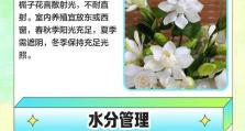 栀子花养护方法大揭秘（打造美丽绽放的栀子花园，关键是养护技巧！）